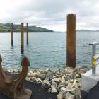 Piles, completed in March, will allow deck construction to start soon on a fishing jetty of...