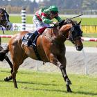 Prince Oz can cap his brilliant season with victory in the listed Great Easter Stakes at...