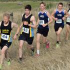 Runners (from left) Ollie O'Sullivan, Matthew Sutcliffe, Nathan Cochrane, Julius Stauffenberg,...