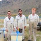 Tending to hives between Cromwell and Alexandra last week are apiarists from Alpine Honey, Hawea,...