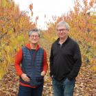 Summerfruit New Zealand chief executive Marie Dawkins and board chairman Tim Jones, who is also...