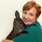 Rae Campbell with rescued kangaroo Faith. Photos: Supplied 