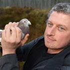  Damian Scarf has been given $50,000 to better study the cognitive abilities of pigeons. PHOTO:...
