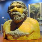 Neanderthal bust, (Unknown artist)