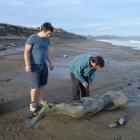 Bruce McCulloch (right) and his son Murray found the skeleton on a beach near Oamaru in 2007....