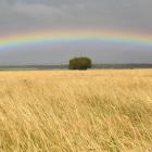 Agriculture and forestry are taking up some of the economic slack from an easing tourism sector...