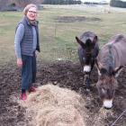 Gardener Jane Falconer, of Clachanburn, Puketoi, feeds donkeys Molly (left) and Toby. She would...