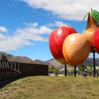 Otago Polytechnic Central Campus at Cromwell is helping keep locals in the region. PHOTO:...