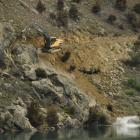 A rock is dislodged into Lake Dunstan.