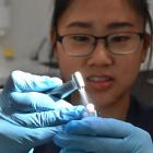 University of Otago student Helene Chua has been carrying out research on dental handpieces which...