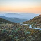 The Hump Ridge track crosses bush, beaches, viaducts and, pictured here, alpine tops. PHOTO:...