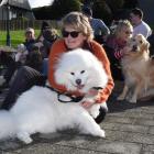 Julie Fawcett and her dog Angel-Louise (front), flanked by other dog owners and their pets in...