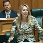 Invercargill MP Sarah Dowie speaks during the general debate in Parliament this week.PHOTO: NZ...