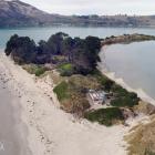 Ensconced among the shifting dunes on the Aramoana Spit is Amrita Nectar's crib, on Department of...