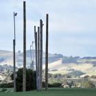 New light posts have been installed at Kettle Park in Dunedin as part of a citywide project to...