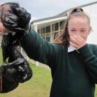 St Gerard's School council leader Hannah O'Connor (13) holds up a couple of the bags of dog...