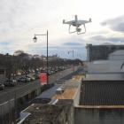 A drone monitoring Thames St has shown that red-billed gulls are now beginning to gather nesting...