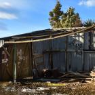 A decrepit boat shed at Lake Waihola near where Jill Huemmer said she cut her leg on submerged...