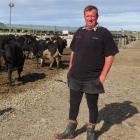 Dairy farmer Dean Alexander, of Lochiel, uses a feed, calving and wintering pad, to improve...