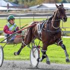 U May Cullect and driver Kirstin Barclay drew rapturous applause from the Ascot Park crowd on...
