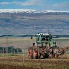 The first of 7500 cherry trees are planted at Hortinvest's Lindis River project. The project is...