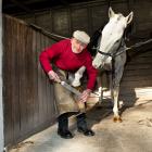 Brian Wilson is plying his trade as the plating inspector at Riccarton on race-days. Photo:...