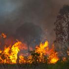Over 50 bushfires are burning across the state of Queensland, prompting hundreds to evacuate...