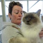 Paws a While co-owner Jill Campbell with Smokey the cat. The Oamaru cattery is fully booked for...