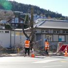 Contractors cut down two trees in Queenstown's CBD to make way for a new bus station. PHOTO:...