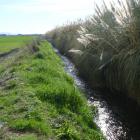 A Farm Environment Plan includes a review of waterways and biodiversity. Photo: Allied Press Files