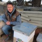 Ettrick apiarist Russell Marsh has installed high-tech monitoring equipment in six of his hives...