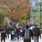 International education contributes more than $5 billion to the NZ economy and is the country's...