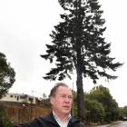 Wakari resident Tony Montgomerie is opposed to the felling of the tree behind him on Ferntree Dr....