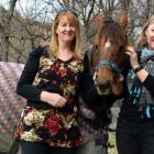Saddleview Pony Club treasurer Nicki Howie (left) and president Louise Lawrence pat horse Tori at...