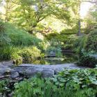 Hostas, moisture-loving irises and, above them, azaleas on the banks of the stream, one of the...