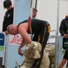 Shearer Damien Boyle, of Tambellup, Western Australia, won the New Zealand Merino Shearing and...