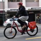 Whizzing along George St is Dunedin City Council staffer Stacey Hitchcock on the council's work e...