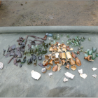 Deposit of glassware, ceramics, leather, and bone. Photo: Newdunedinhospital.nz