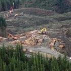 Logging at Mt Allan forest. Photo: Stephen Jaquiery 