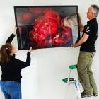 Wanaka Arts President Vicky Fulton and John Hare prepare to hang a photo in the Wanaka Community hub conference room as part of the revolving arts exhibition. PHOTO: KERRIE WATERWORTH 