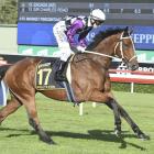 Former Otago star Patrick Erin will attempt to win his way to the Melbourne Cup in tomorrow's...