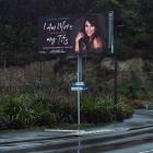 A Dunedin billboard was deemed objectionable by one resident. Photo: Linda Robertson