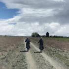 Cyclists travel on electric bikes along the Otago Central Rail Trail this Spring. E-bike use on...