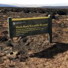 The Black Rock Scientific Reserve was devastated by the fire near Middlemarch. Photo: Stephen...