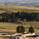 A pit at Foulden Maar, near Middlemarch. Photo: Gregor Richardson
