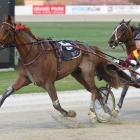 Paramount King wins the first heat of the Interdominion trotting series at Alexandra Park last...