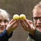 Sophie Graham and Alex Martyn take on a verbal challenge in Lemons Lemons Lemons Lemons Lemons....