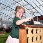Macy Harmes (4), of Dunedin, plays Connect 4 at the Home and Living Show at Forsyth Barr Stadium...