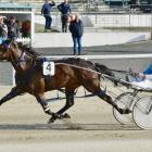 Nikasa and driver Brent Barclay won race 4 at Forbury Park last night by seven and three-quarter...