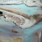A large nesting site at the Waitaki River mouth could explain Oamaru’s relatively empty skies. Dr...